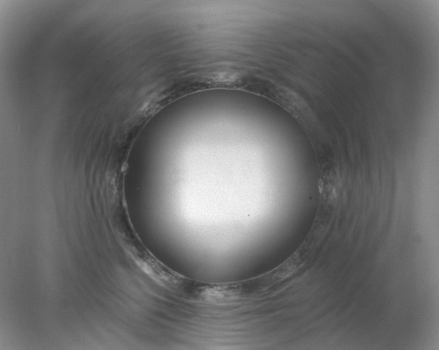 X0000077980568200611101705
