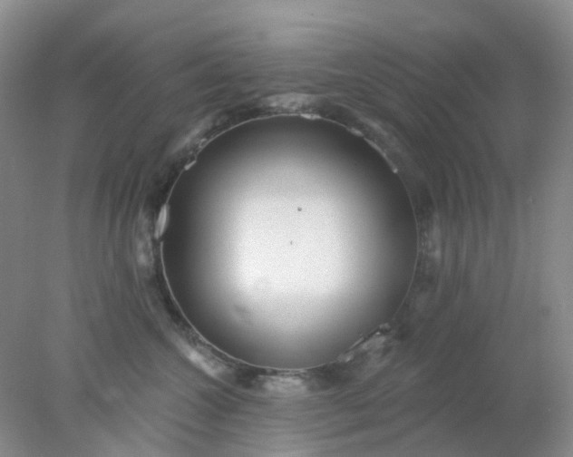 X0000077980572200611101705