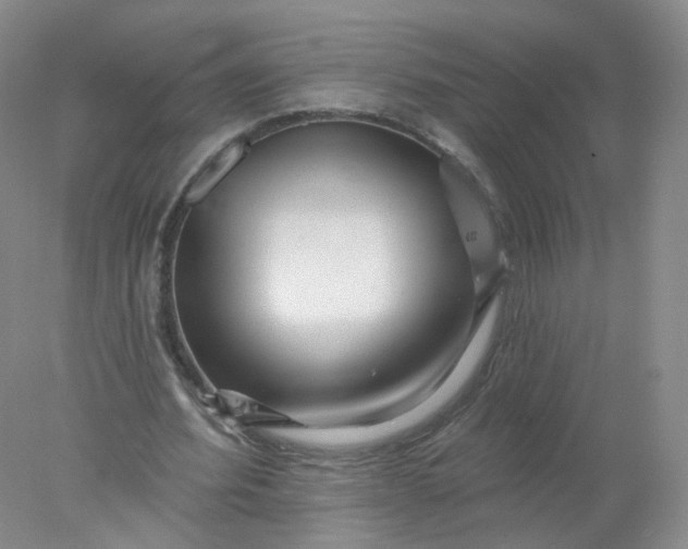 X0000077980580200611101704