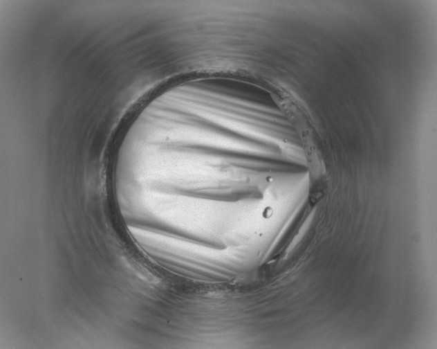 X0000077980584200611101704