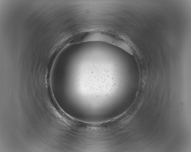 X0000077980585200611101704