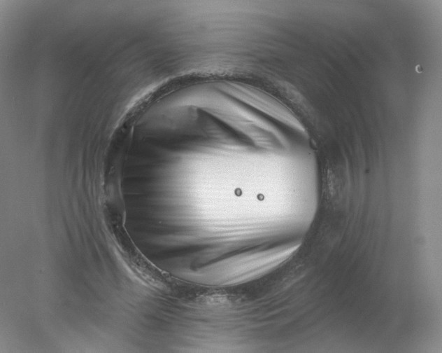 X0000077980588200611101704