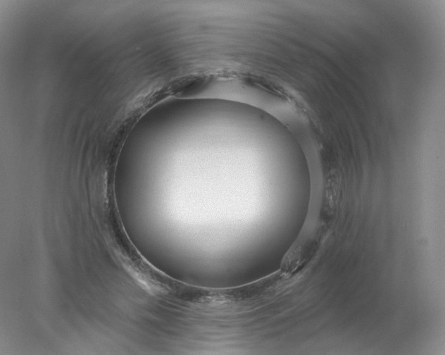 X0000077980589200611101704