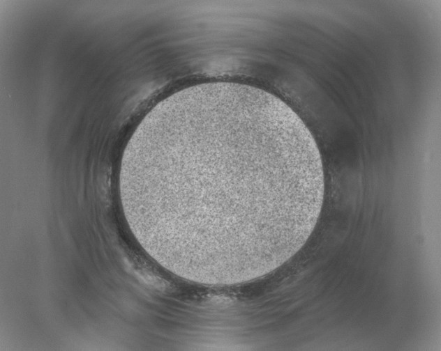 X0000077980592200611101704