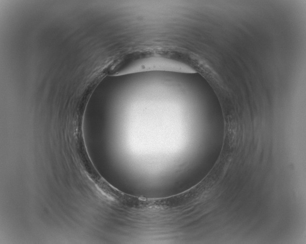 X0000077980593200611101704