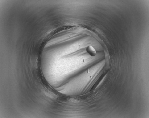 X0000077980596200611101704