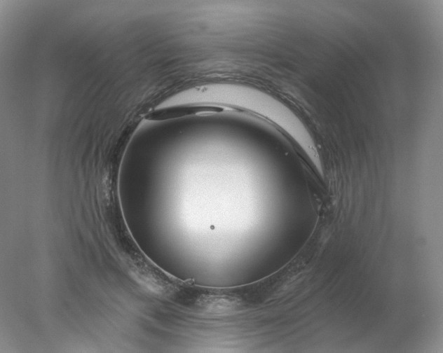 X0000077980597200611101704