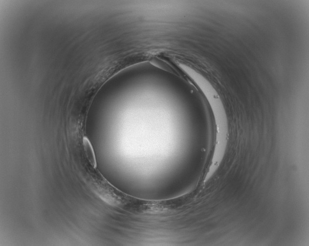 X0000077980601200611101704