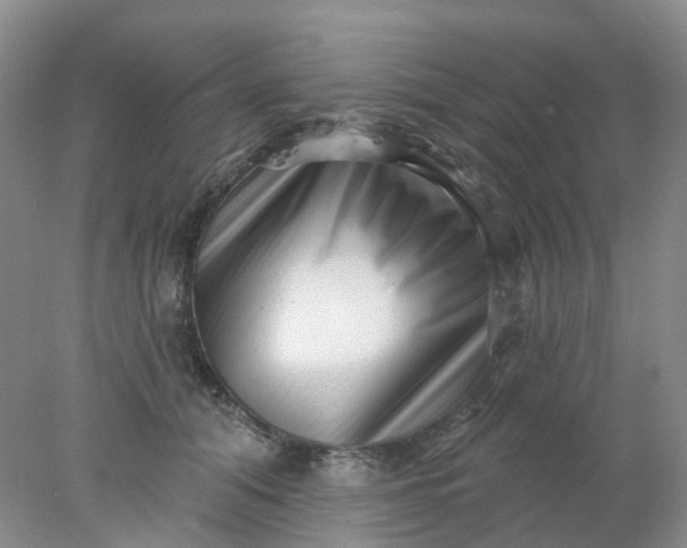X0000077980608200611101704