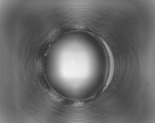 X0000077980609200611101704