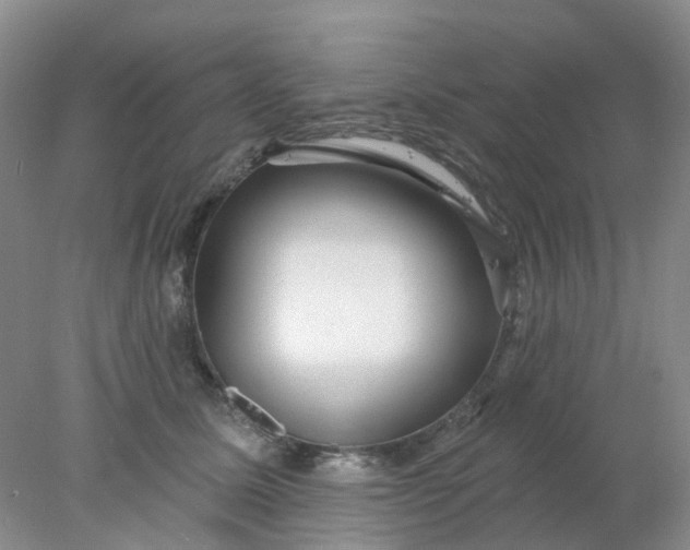 X0000077980611200611101704