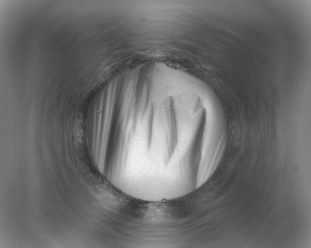 X0000077980612200611101704