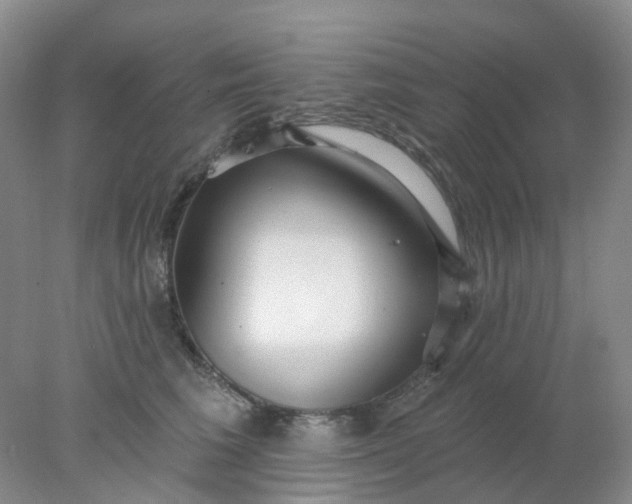 X0000077980613200611101704