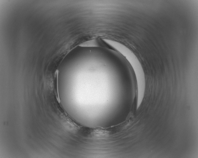 X0000077980617200611101704