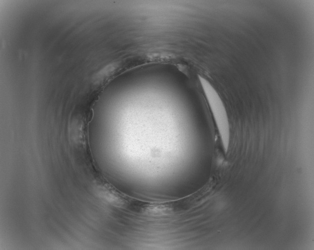 X0000077980619200611101704