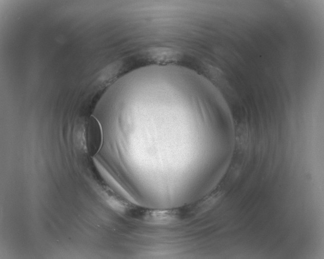 X0000077980622200611101704