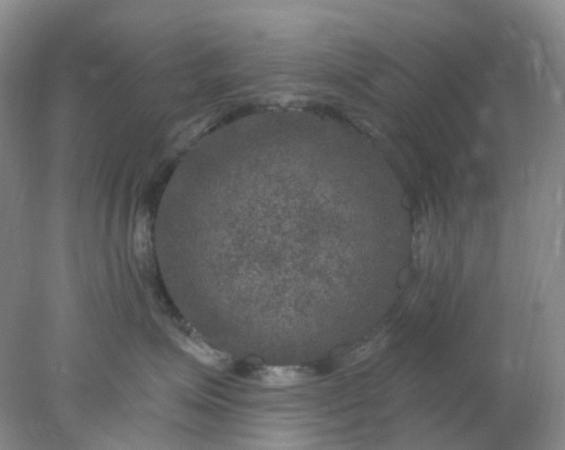 X0000077980623200611101704