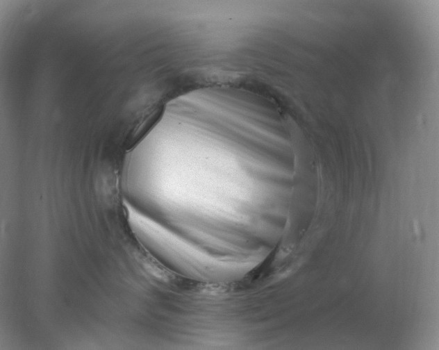 X0000077980624200611101704