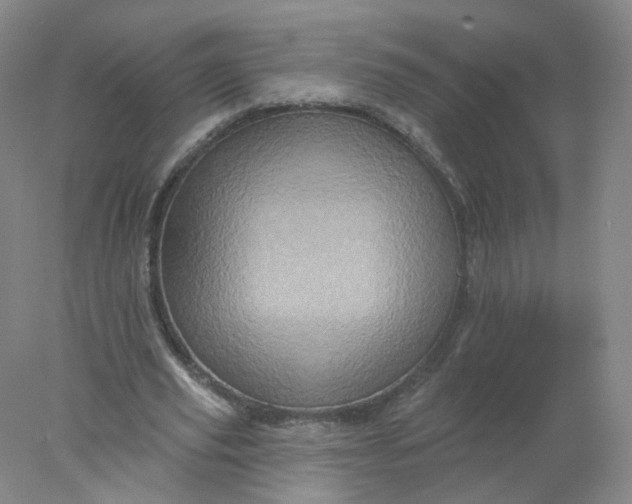 X0000077980629200611101703