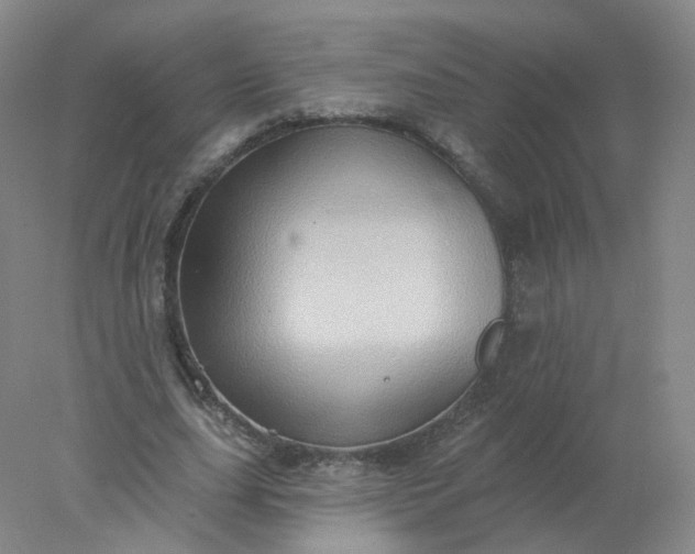 X0000077980631200611101703
