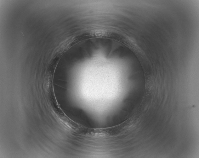 X0000077980645200611101703