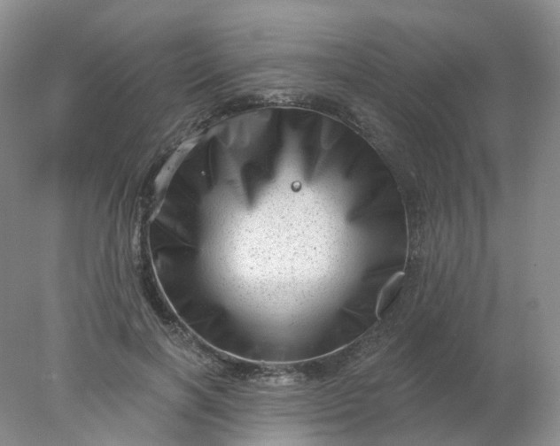 X0000077980646200611101703