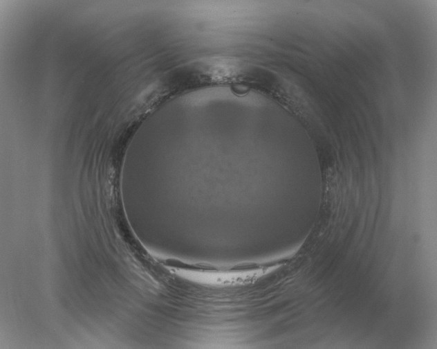 X0000077980650200611101703