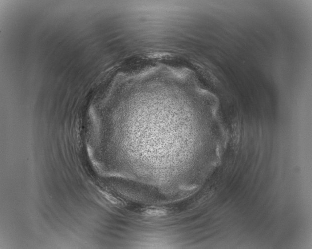 X0000077980653200611101703
