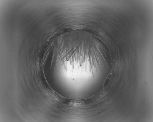 X0000077980655200611101703