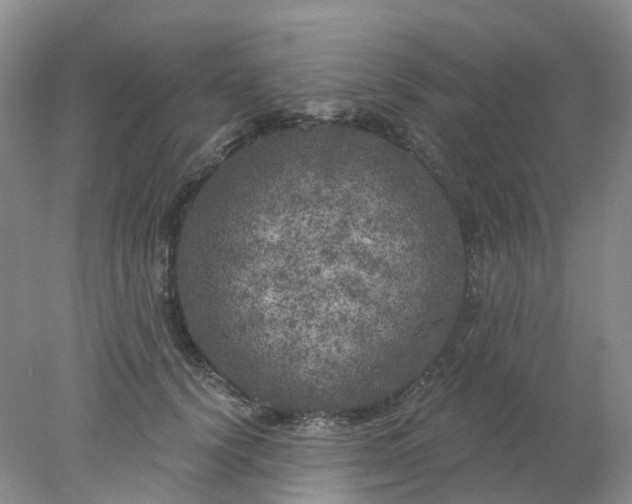 X0000077980656200611101703