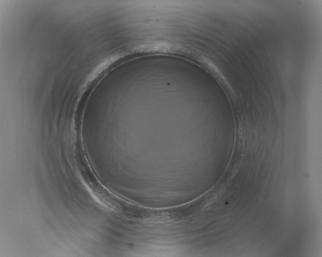X0000077980674200611101703