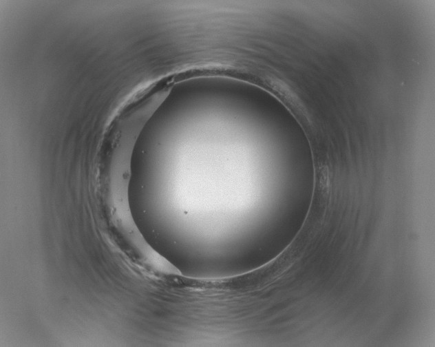 X0000077980676200611101703