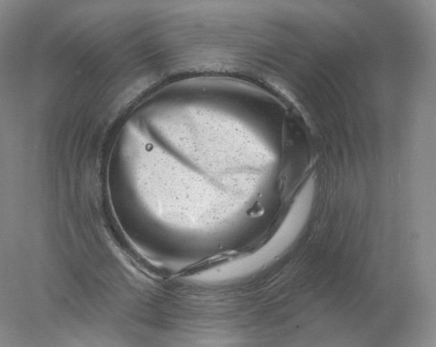 X0000077980677200611101703