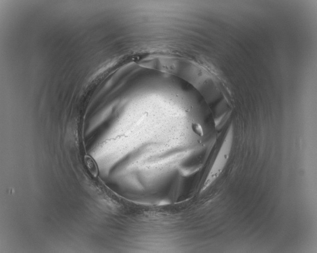 X0000077980681200611101703