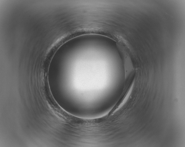 X0000077980684200611101703