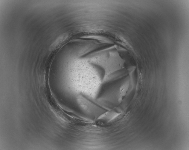 X0000077980685200611101703