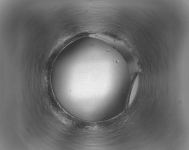 X0000077980688200611101703