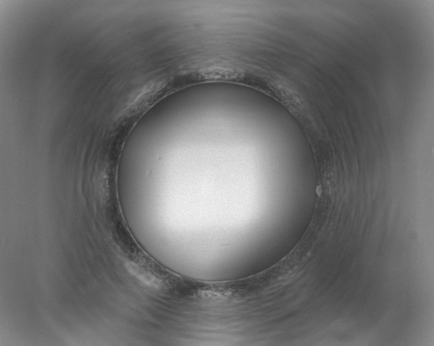 X0000077980690200611101702
