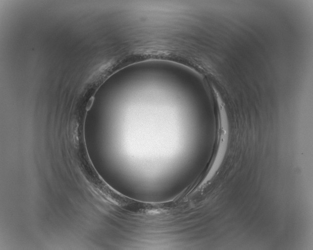 X0000077980692200611101702