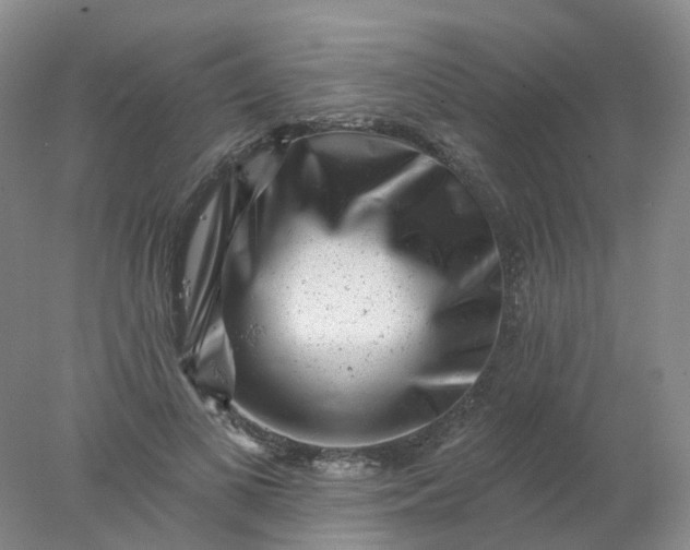X0000077980693200611101702