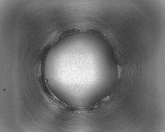 X0000077980694200611101702