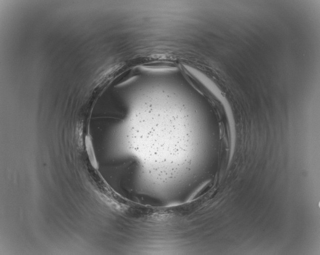X0000077980696200611101702