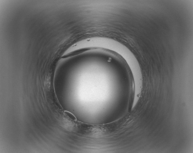X0000077980697200611101702