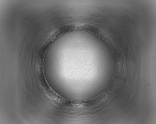X0000077980698200611101702