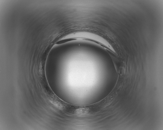 X0000077980700200611101702