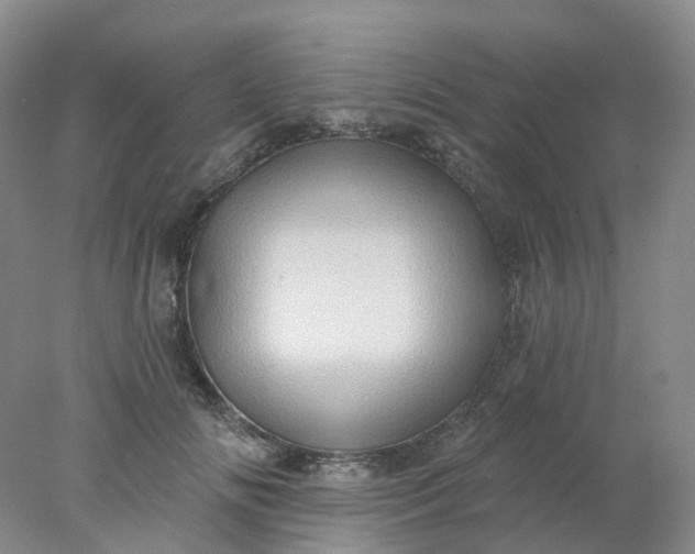 X0000077980702200611101702