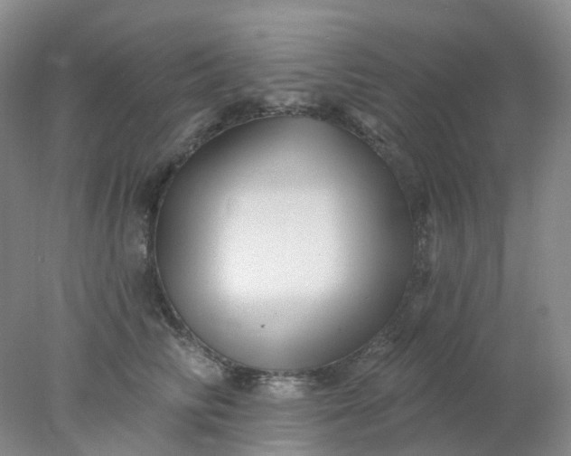 X0000077980710200611101702