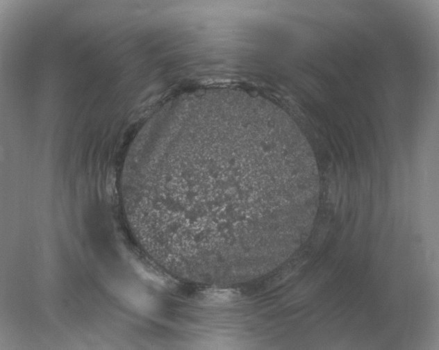 X0000077980711200611101702