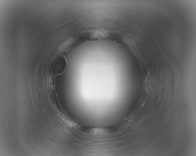 X0000077980714200611101702