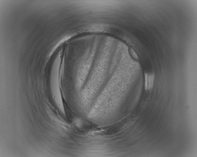 X0000077980723200611101701